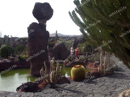 Lanzarote,Skulptur im Kakteen-Garten von Cesar Manrique,Kunstwerk