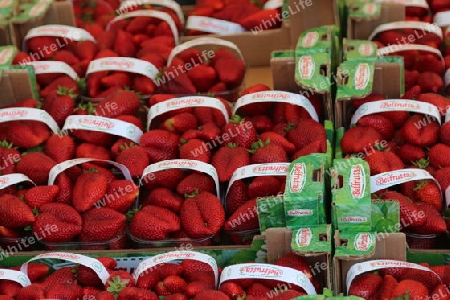 Erdbeern