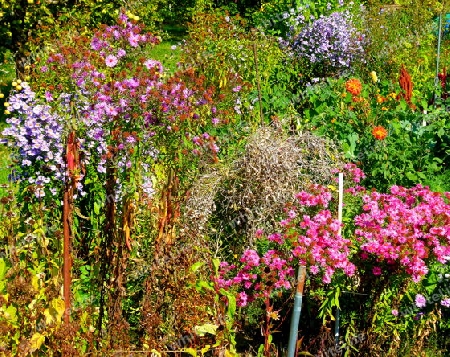 Tolles Blumenbeet im Herbst