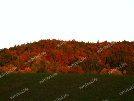Herbstfarben P1240380