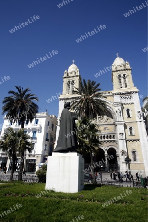 Afrika, Tunesien, Tunis, Avenue Habib Bourguiba, Kathedrale, Kirche, 
