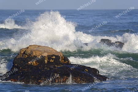 st?rmische See an den Felsen von Bird Island, Lamberts Bay, Western Cape, Westkap, S?dafrika, Afrika