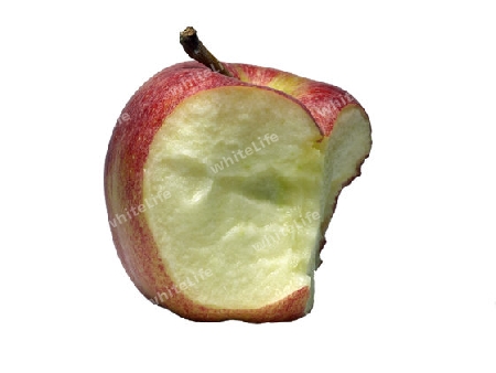 Apfel         