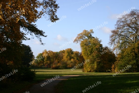 Herbststimmung im Babelsberger Park