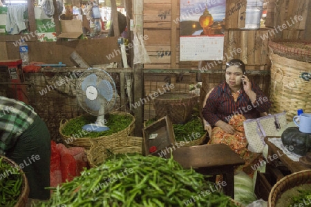 chili in a a fegetable market in a Market near the City of Yangon in Myanmar in Southeastasia.