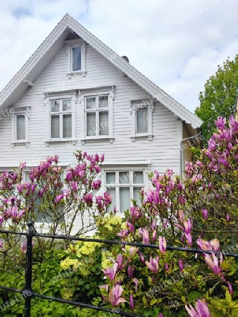 Frühling in Stavanger, Norwegen