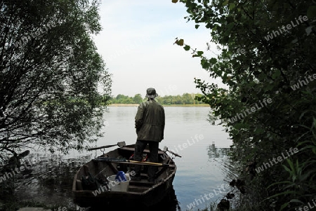 Fischer im Fischerboot in den Rheinauen