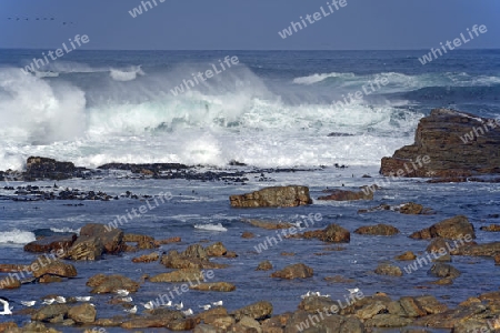 St?rmische See bei Gewitterstimmung am Morgen am Kap der guten Hoffnung, Cape of good Hope, West Kap, western Cape, S?dafrika, Afrika
