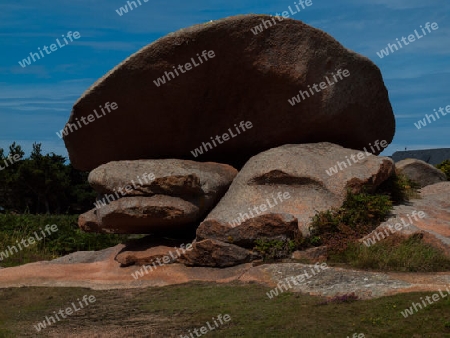 Steinplatte in Heidelandschaft