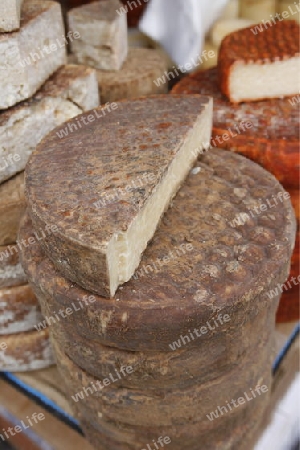 cheese at the Market in the Village of Teror in the Mountains of central Gran Canay on the Canary Island of Spain in the Atlantic ocean.