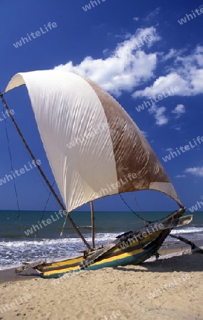 Ein Strand mit einem Segelboot in Negombo im westen von Sri Lanka in Asien.