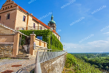 Vineyard in front of the castle M?ln?k Bohemia Czech Republic