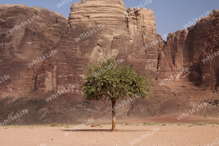The Landscape of the Wadi Rum Desert in Jordan in the middle east.