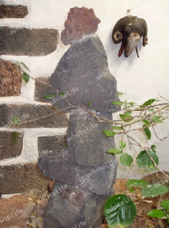 Lanzarote,Affenkopf-Skulptur