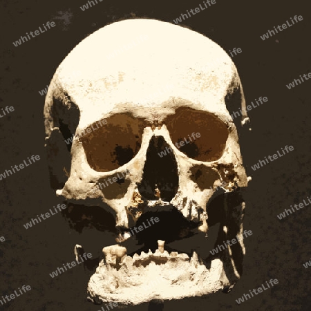 Skull 001