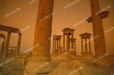 Die Ruinen von Palmyra in der Wueste Faydat in Syrien im Mittleren Osten in Arabien.