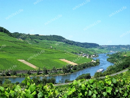 Mosel-Weinbau-Luxemburg