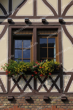 Fenster an einem Haus im Rheintal