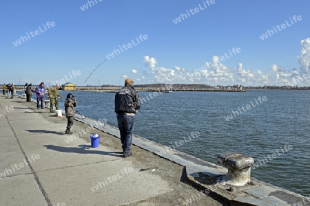 Angler angeln Heringe im alten Hafen der Hansestadt Stralsund, Unesco Weltkulturerbe, Mecklenburg Vorpommern, Deutschland, Europa, oeffentlicherGrund