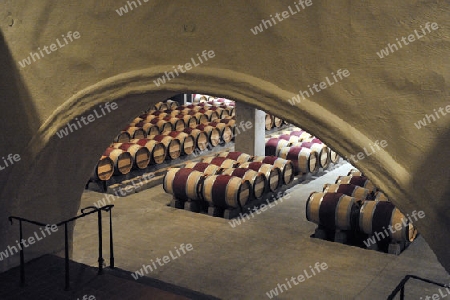 Blick in den Reifekeller mit franz?sischen Barrique F?ssern aus Eichenholz  der Robert Mondavi Winery, Napa Valley, Kalifornien, USA