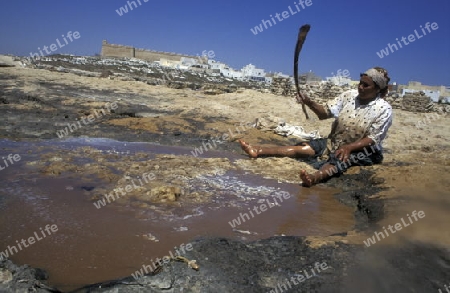 Eine Frau beim reinigen von Schaafswolle in Mahdia am Mittelmeer im Nordosten von Tunesien in Nordafrika.