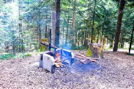 BBQ in the wood