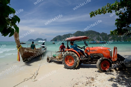 A Beach on the Island of Ko PhiPhi on Ko Phi Phi Island outside of the City of Krabi on the Andaman Sea in the south of Thailand. 