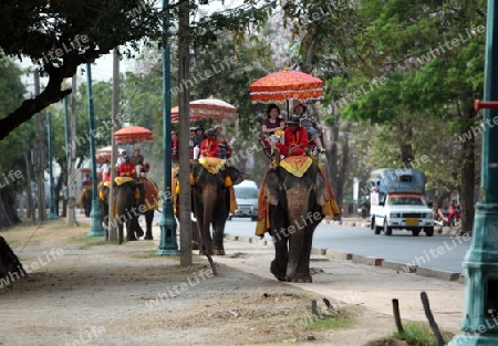 Ein Elephanten Taxi vor einem der vielen Tempel in der Tempelstadt Ayutthaya noerdlich von Bangkok in Thailand.