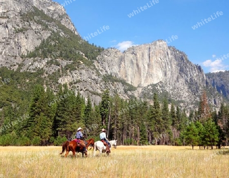 Yosemite Cowboys 