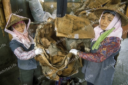 Frauen beim entsorgen und Recycling von Altpapier und Karton in der Hauptstadt Taipei im norden der Insel Taiwan.