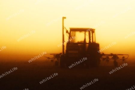 Traktor bei Sonnenaufgang