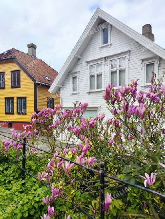 Frühling in Stavanger, Norwegen