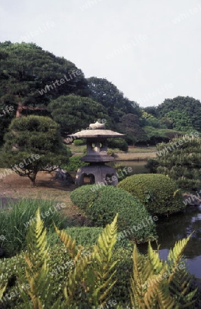 a Japanese parc in the City centre of Tokyo in Japan in Asia,



