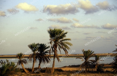 Afrika, Tunesien, Jerba
Die Lagune beim Strand auf der Insel Jerba im sueden von Tunesien. (URS FLUEELER)






