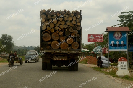 A Transport of Wood near the City of Siem Riep in the west of Cambodia.