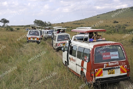 jede Menge Touristenbusse beobachten Tiere in der Masai Mara, Kenia