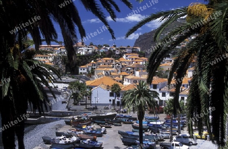 Das Traditionelle Fischerdorf Camara de Lobos im sueden  der Insel Madeira im Atlantischen Ozean, Portugal.