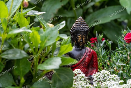 Buddha Figur im Garten