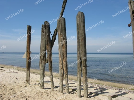 Alte Holzpfähle am Strand