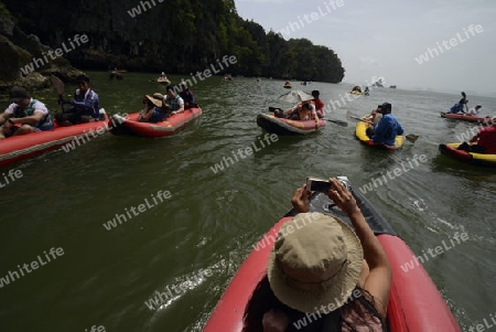 Kalkfelsen und Hoehlen im Ao Phang Nga Nationalpark wenige Bootsminuten oestlich von der Hauptinsel Puket auf der Insel Phuket im sueden von Thailand in Suedostasien.