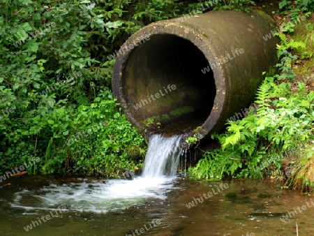 Wasserrohr im Wald