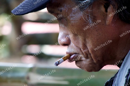 Smokeing Toraja, Sulawesi