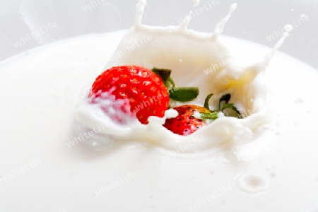 Erdbeere faellt in Milch, Strawberry falling into milk