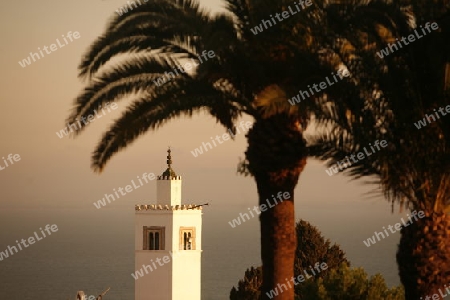 Afrika, Nordafrika, Tunesien, Tunis
Die Moschee mit dem Minarett in Altstadt von Sidi Bou Said am Mittelmeer und noerdlich der Tunesischen Hauptstadt Tunis. 






