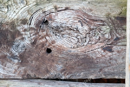 Starke Maserung im Holz