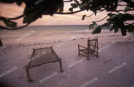 Der Traumstrand  von Bwejuu an der Ost-Kueste auf der Insel Zanzibar welche zu Tansania gehoert.    