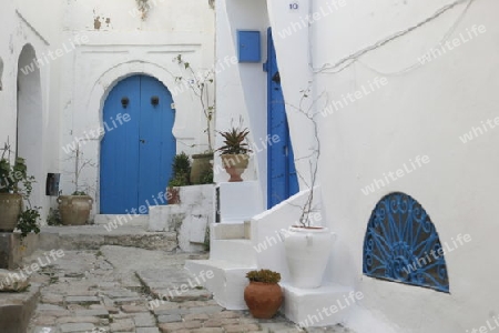 Eine Gasse in der Altstadt von Sidi Bou Said noerdlich von Tunis im Norden von Tunesien in Nordafrika am Mittelmeer. 