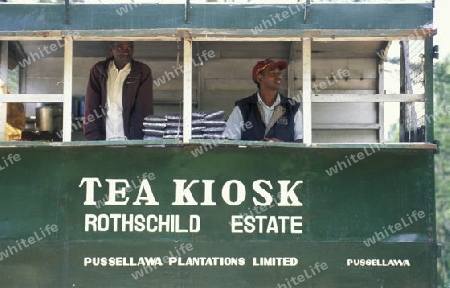 Asien, Indischer Ozean, Sri Lanka,
Ein Tee Kiosk im Tee Anbaugebiet von Nuwara Eliya in Zentralen Gebierge von Sri Lanka. (URS FLUEELER)






