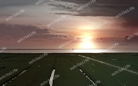 Sonnenuntergang am Wattenmeer
