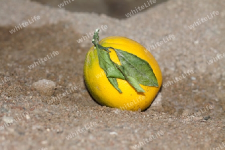 Orange im Sand